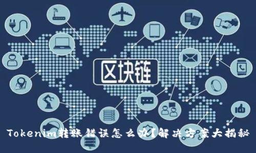 Tokenim转账错误怎么办？解决方案大揭秘