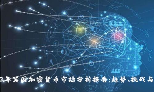 2023年英国加密货币市场分析报告：趋势、挑战与机遇