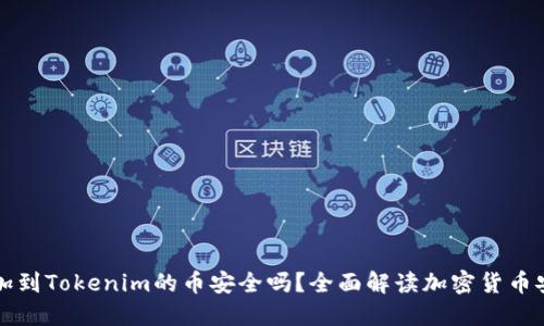 能添加到Tokenim的币安全吗？全面解读加密货币安全性