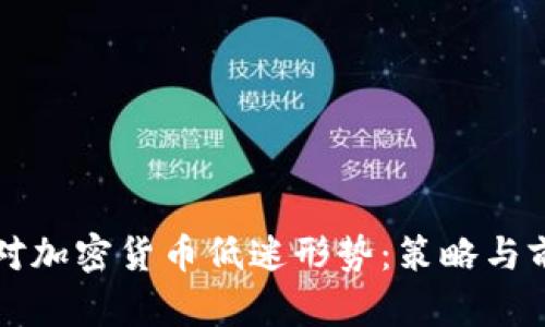 如何应对加密货币低迷形势：策略与前景分析