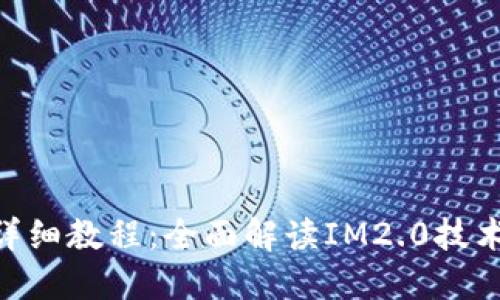 IM2.0详细教程：全面解读IM2.0技术与应用