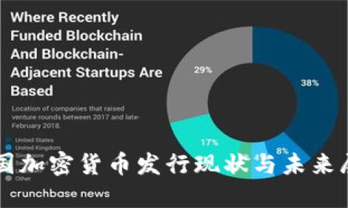 美国加密货币发行现状与未来展望