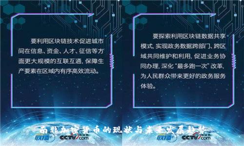 南非加密货币的现状与未来发展趋势