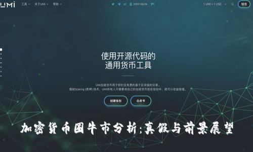 加密货币圈牛市分析：真假与前景展望