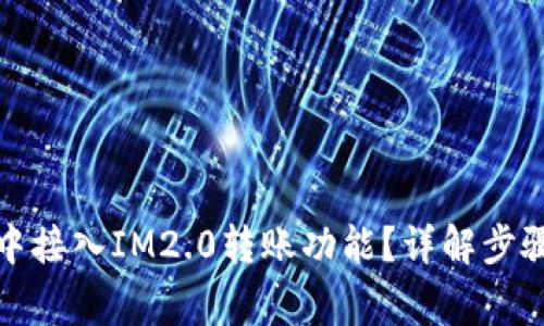 如何在应用中接入IM2.0转账功能？详解步骤与注意事项