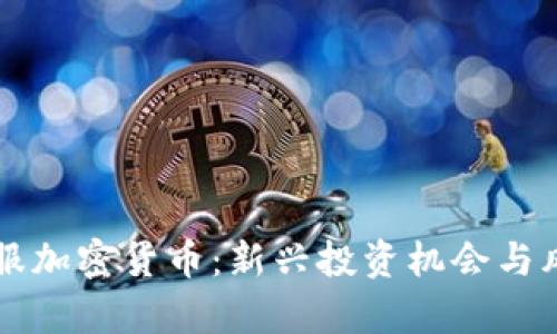 即刻金服加密货币：新兴投资机会与风险解析