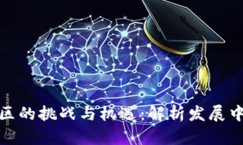 加密货币社区的挑战与机遇：解析发展中的关键问题