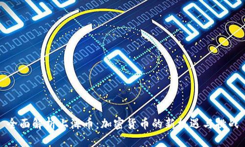 全面解析上海币：加密货币的新机遇与挑战