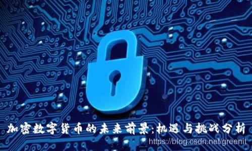 加密数字货币的未来前景：机遇与挑战分析