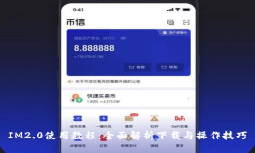 IM2.0使用教程：全面解析下载与操作技巧