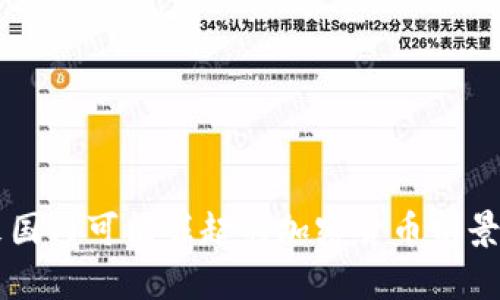 未来国内可能崛起的加密货币前景分析