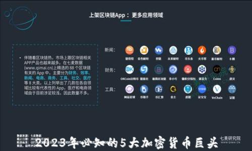 
2023年必知的5大加密货币巨头