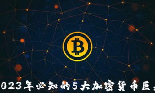 
2023年必知的5大加密货币巨头