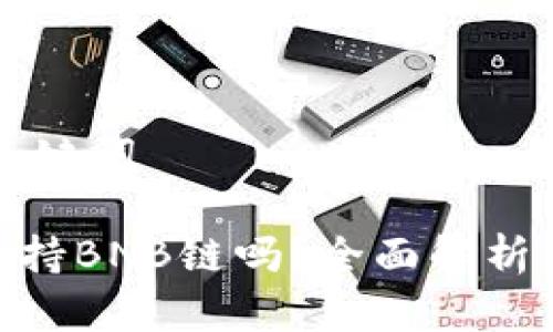 ### 和关键词

Tokenim支持BNB链吗？全面解析与用户指南
