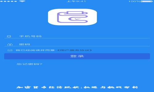 加密货币经济现状：机遇与挑战分析