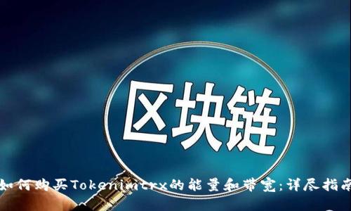 如何购买Tokenimtrx的能量和带宽：详尽指南