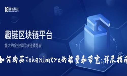 如何购买Tokenimtrx的能量和带宽：详尽指南