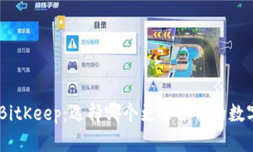 Tokenim与BitKeep：选择哪个更适合你的数字资产管理?