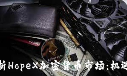   
深度解析HopeX加密货币市场：机遇与挑战