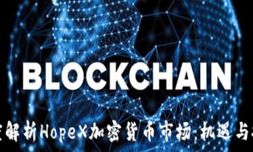   
深度解析HopeX加密货币市场：机遇与挑战