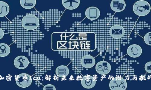 加密货币Icu：解析未来数字资产的潜力与挑战