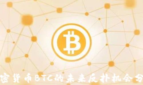 
加密货币BTC的未来反扑机会分析