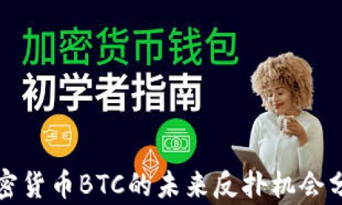
加密货币BTC的未来反扑机会分析