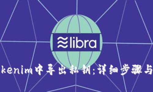 如何在Tokenim中导出私钥：详细步骤与注意事项