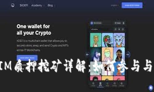 波卡TokenIM质押挖矿详解：如何参与与收益最大化