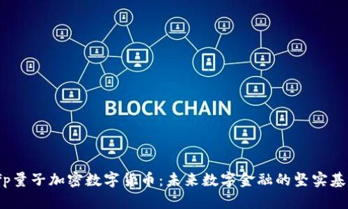 vfp量子加密数字货币：未来数字金融的坚实基础