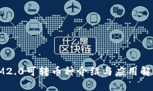 IM2.0可转币种介绍与应用解析