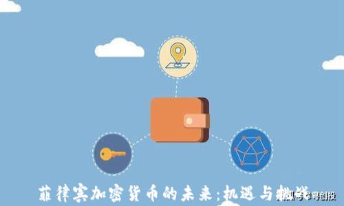 
菲律宾加密货币的未来：机遇与挑战
