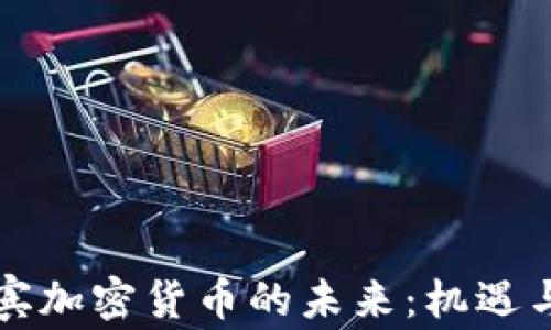 
菲律宾加密货币的未来：机遇与挑战