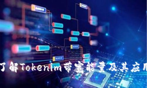 深入了解Tokenim带宽能量及其应用前景