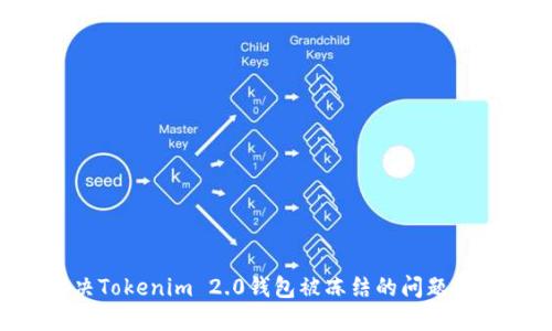 如何解决Tokenim 2.0钱包被冻结的问题：全面指南