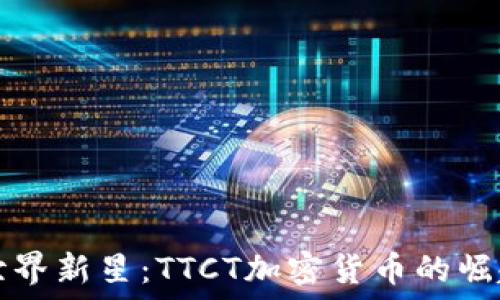   
区块链世界新星：TTCT加密货币的崛起与未来