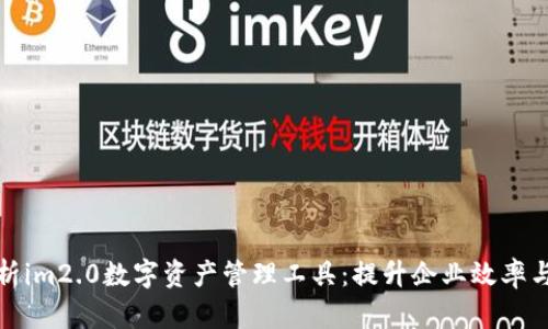 全面解析im2.0数字资产管理工具：提升企业效率与安全性