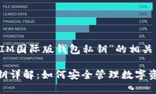 在此我们来探讨“IM国际版钱包私钥”的相关内容，并和关键词。

IM国际版钱包私钥详解：如何安全管理数字资产