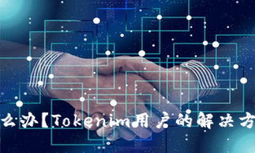 助记词丢失怎么办？Tokenim用户的解决方案与预防措施