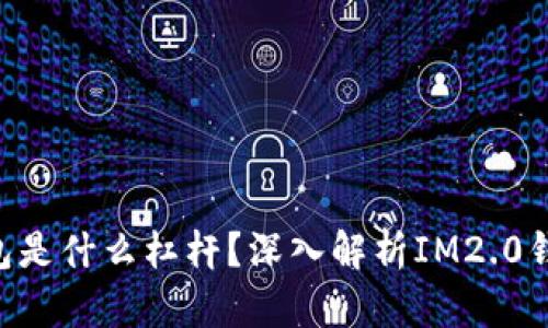 ### IM2.0钱包是什么杠杆？深入解析IM2.0钱包的优势与风险
