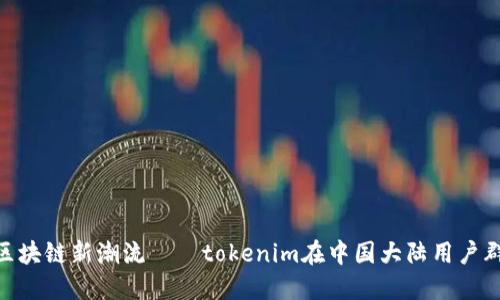 欲望勃发的区块链新潮流——tokenim在中国大陆用户群体中的崛起