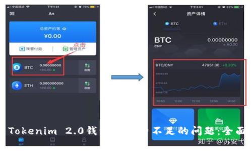解决Tokenim 2.0钱包矿工费不足的问题：全面指南