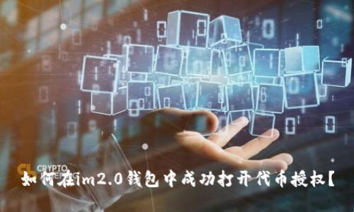 如何在im2.0钱包中成功打开代币授权？