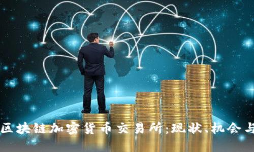 美国区块链加密货币交易所：现状、机会与挑战