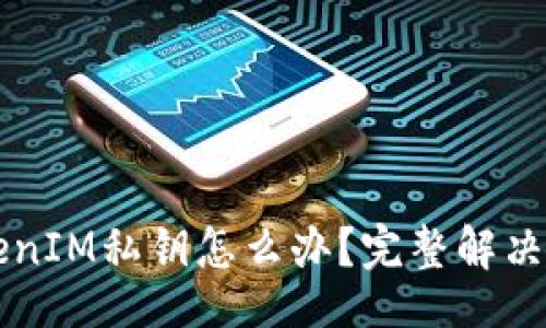 div
    找不到TokenIM私钥怎么办？完整解决方案与注意事项