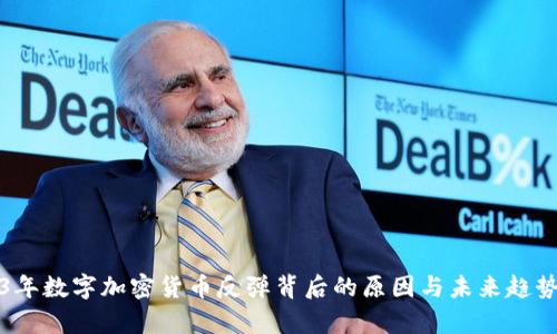 2023年数字加密货币反弹背后的原因与未来趋势分析
