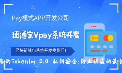 确保您的Tokenim 2.0 私钥安全：防止被盗的最佳实践