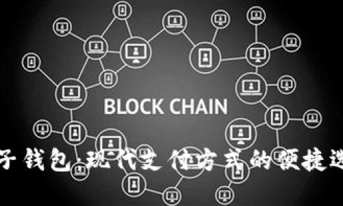 电子钱包：现代支付方式的便捷选择