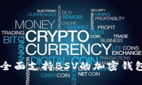 TokenIM：全面支持BSV的加密钱包平台解读
