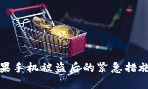 如何处理苹果手机被盗后的紧急措施与防范技巧